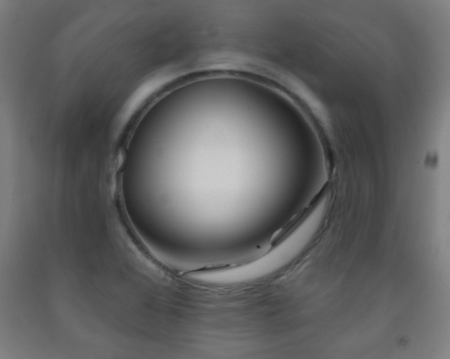 X0000093261368200709261722