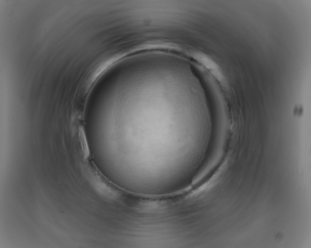 X0000093261369200709261722