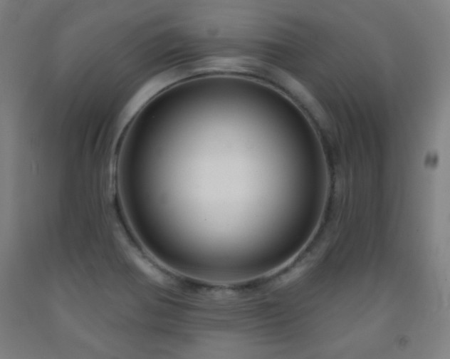 X0000093261370200709261722