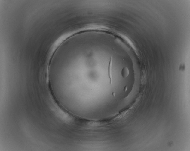 X0000093261371200709261722