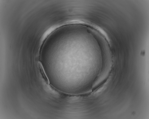 X0000093261373200709261722