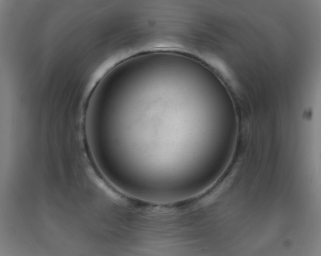 X0000093261374200709261722