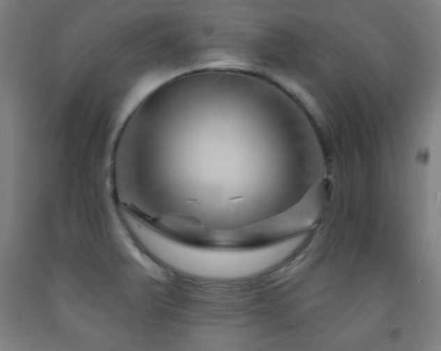X0000093261375200709261722
