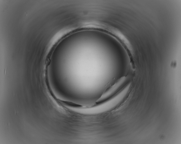 X0000093261376200709261722