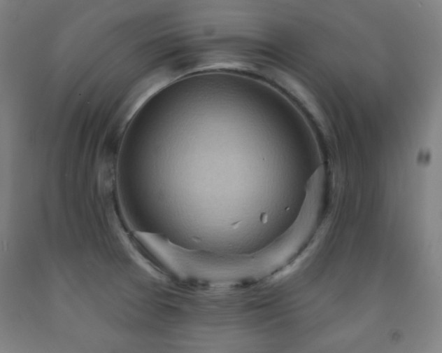 X0000093261377200709261722