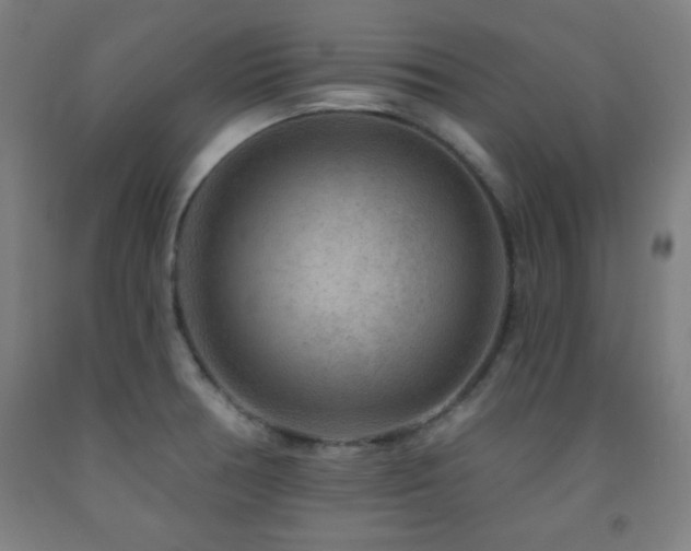 X0000093261378200709261722
