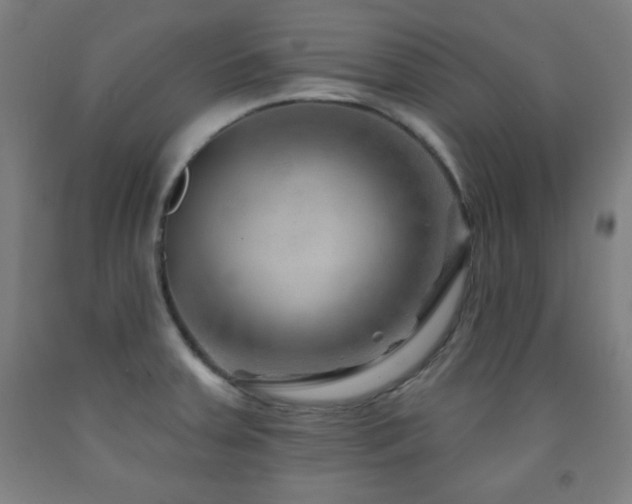 X0000093261379200709261722