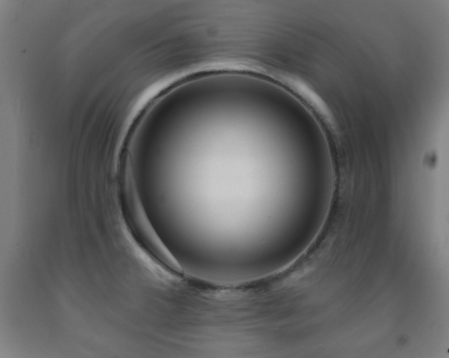 X0000093261380200709261722
