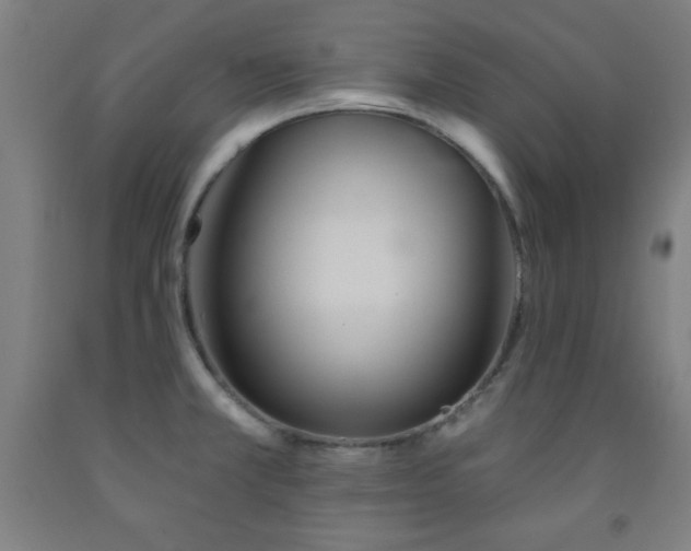 X0000093261381200709261722