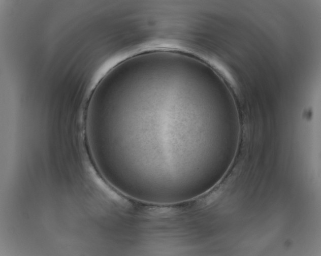 X0000093261382200709261722