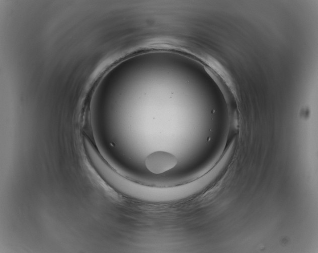 X0000093261384200709261722