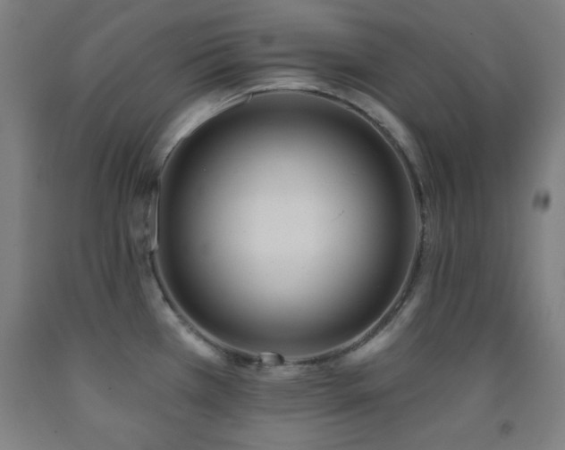 X0000093261385200709261722