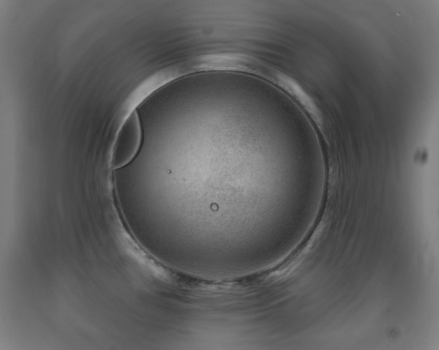 X0000093261386200709261722