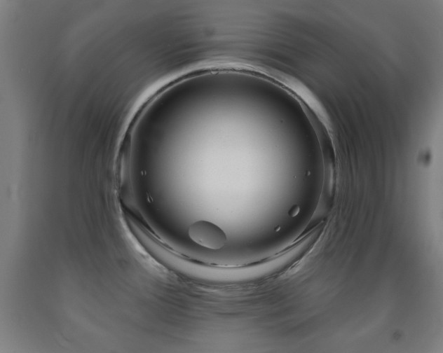 X0000093261388200709261722