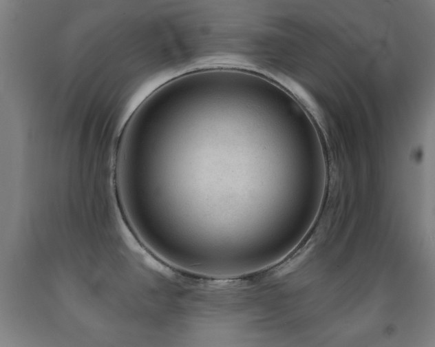 X0000093261390200709261722