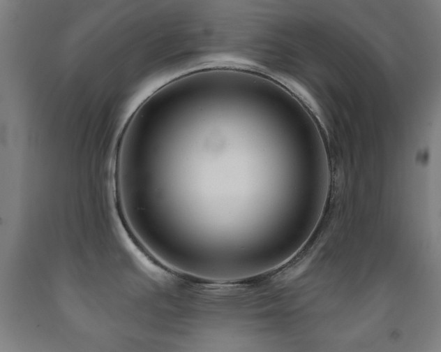 X0000093261391200709261722