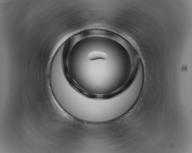 X0000093261392200709261722