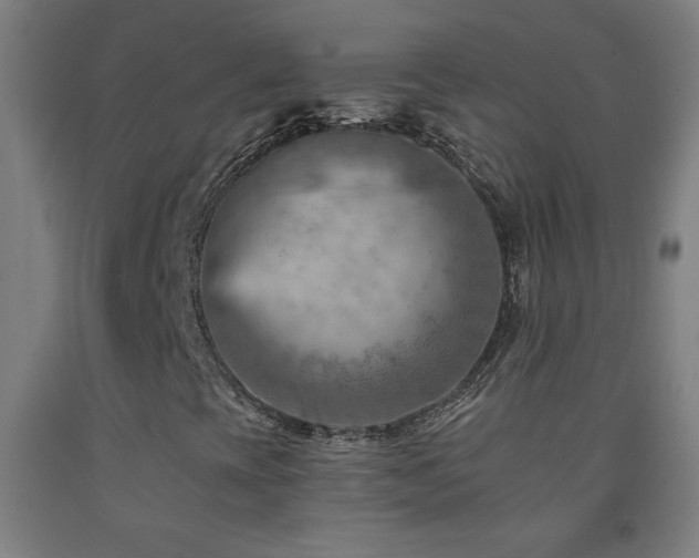 X0000093261393200709261722