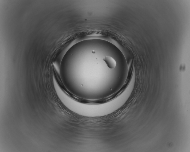 X0000093261394200709261722