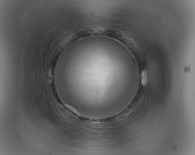 X0000093261395200709261722