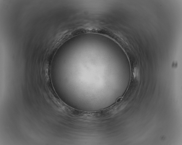 X0000093261396200709261722