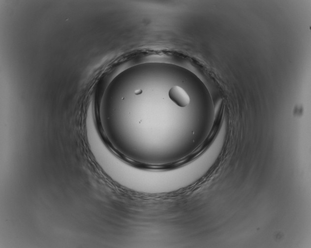X0000093261398200709261722