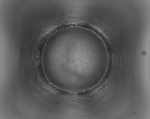 X0000093261399200709261722