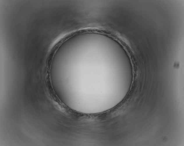 X0000093261400200709261722