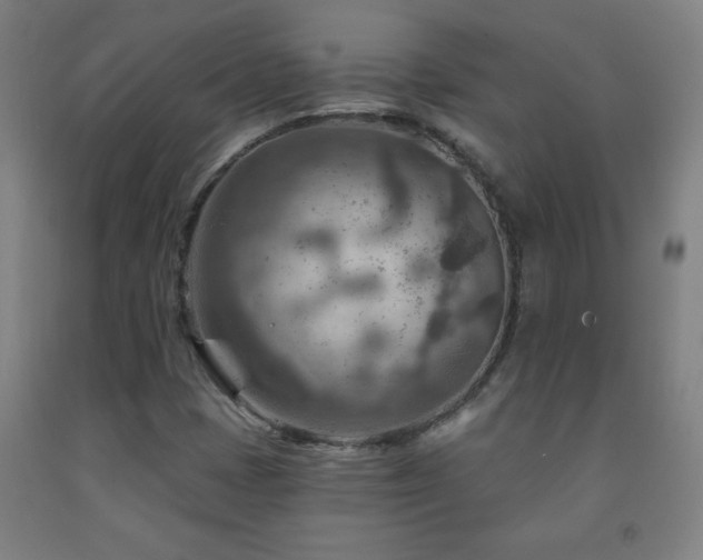 X0000093261401200709261722