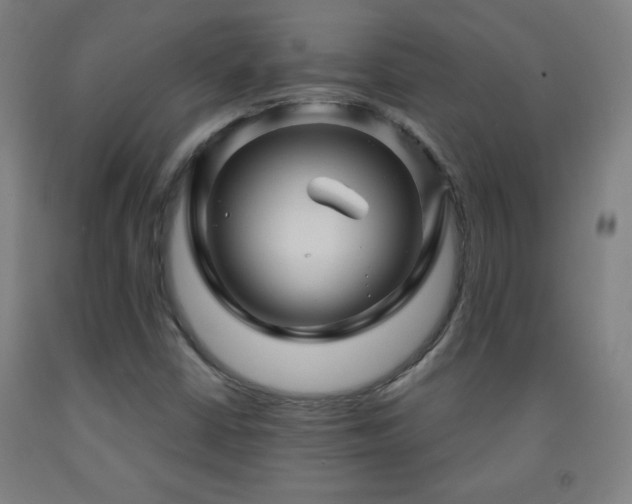 X0000093261402200709261722