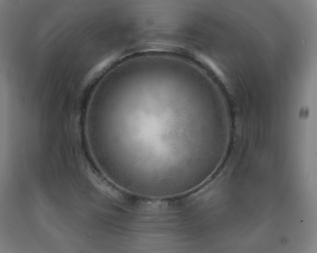 X0000093261403200709261722