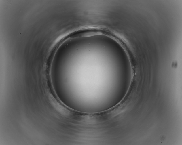 X0000093261404200709261722