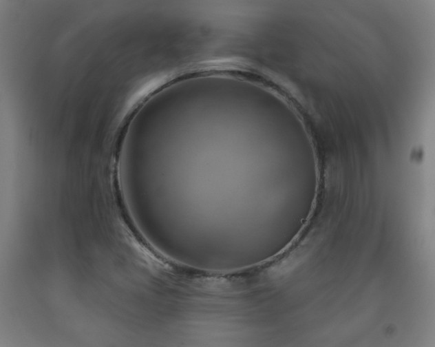 X0000093261405200709261722