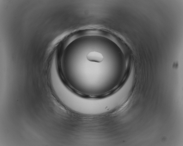 X0000093261406200709261722