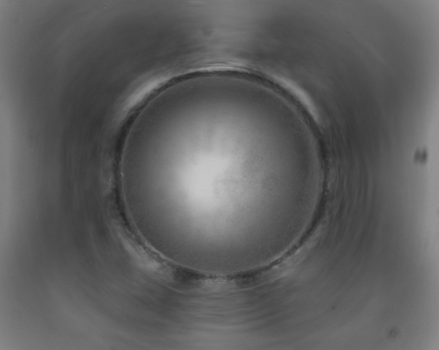 X0000093261407200709261722