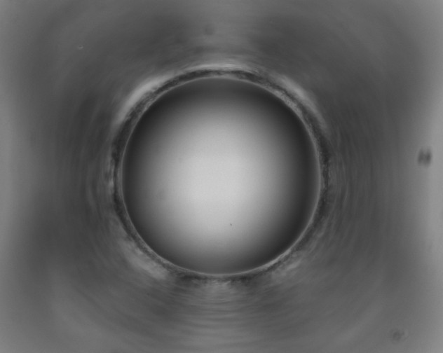 X0000093261408200709261722