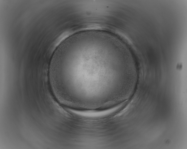 X0000093261409200709261722