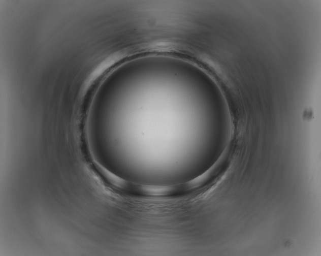 X0000093261410200709261722