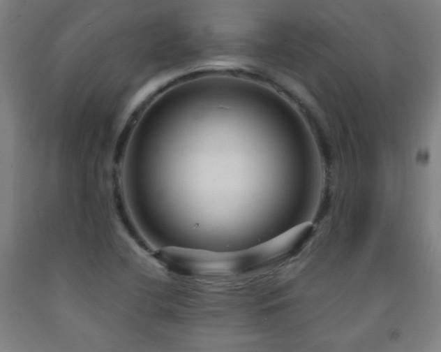 X0000093261412200709261722