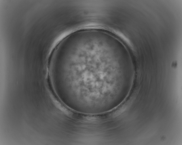 X0000093261413200709261722