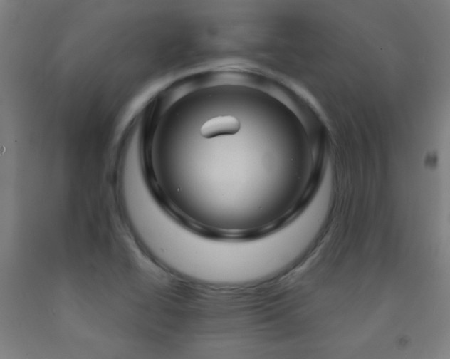 X0000093261414200709261722