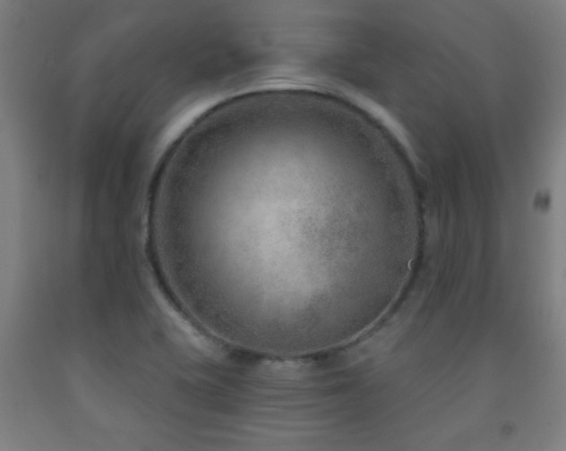 X0000093261415200709261722