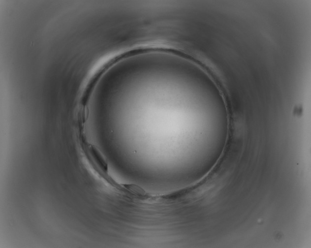 X0000093261416200709261722