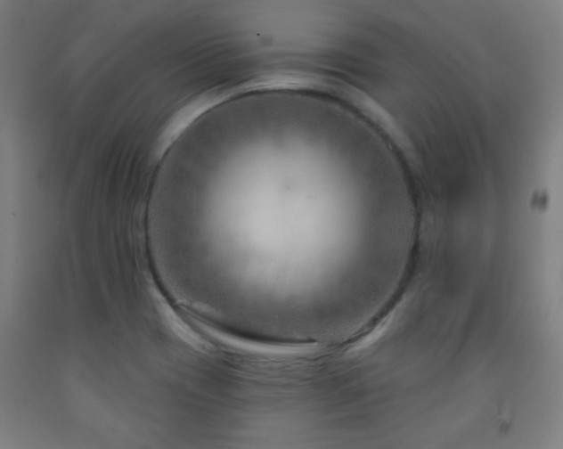 X0000093261417200709261722