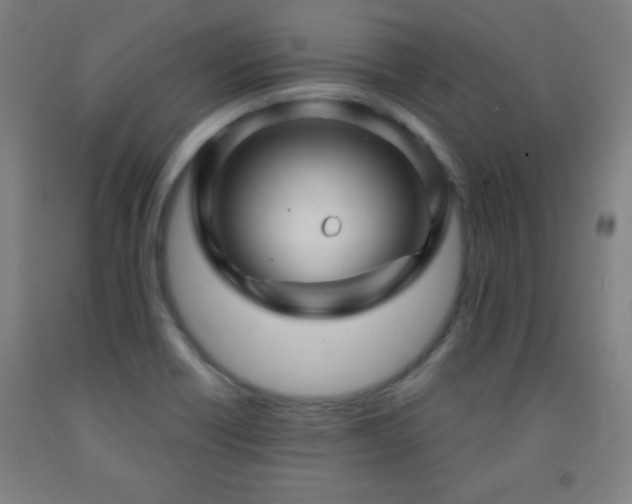 X0000093261418200709261722