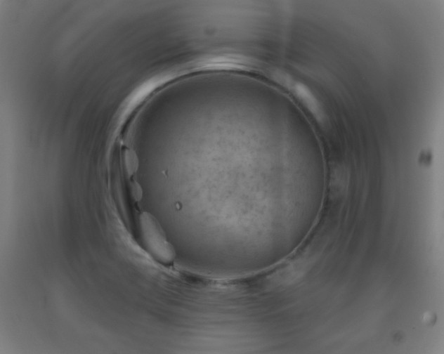 X0000093261419200709261722