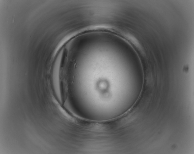 X0000093261420200709261722