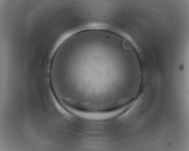 X0000093261421200709261722