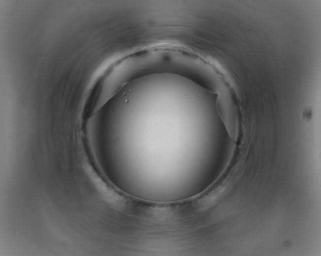 X0000093261422200709261722