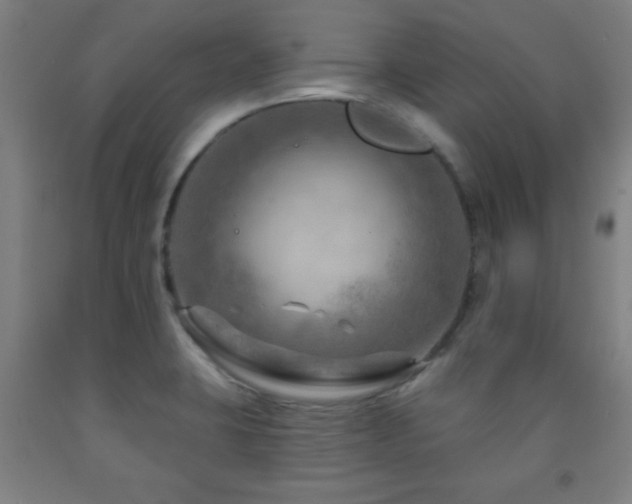 X0000093261423200709261722